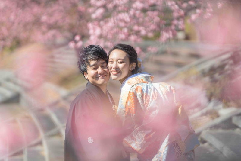 2月上旬から撮影できる南伊豆河津桜撮影プランご予約スタート