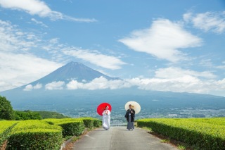 和装で富士市のお茶畑や公園でのロケーション撮影