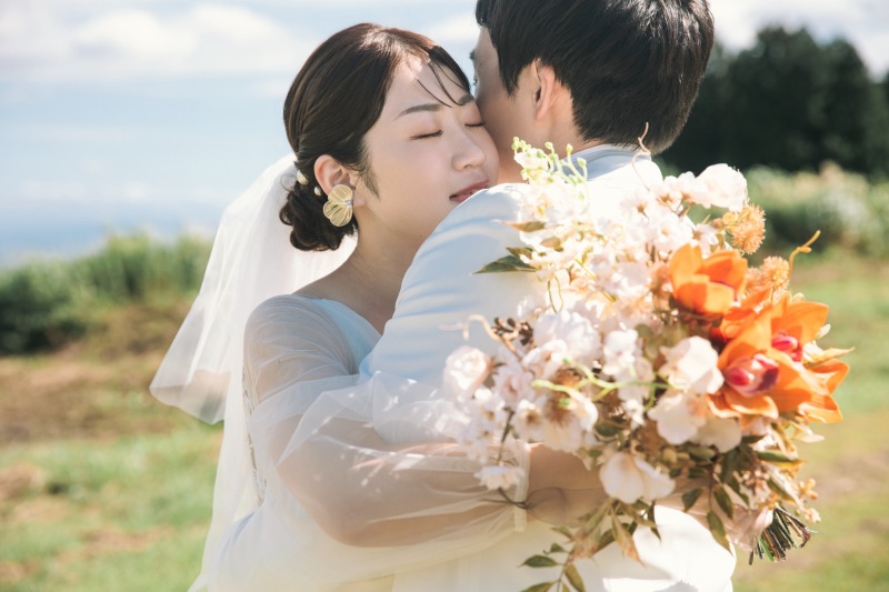 韓国風芝生フォトも
