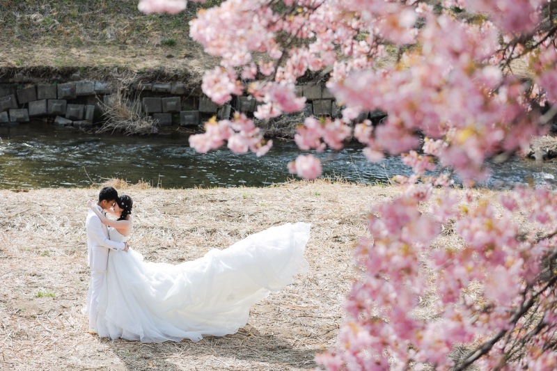 河津桜プランご予約開始致しました