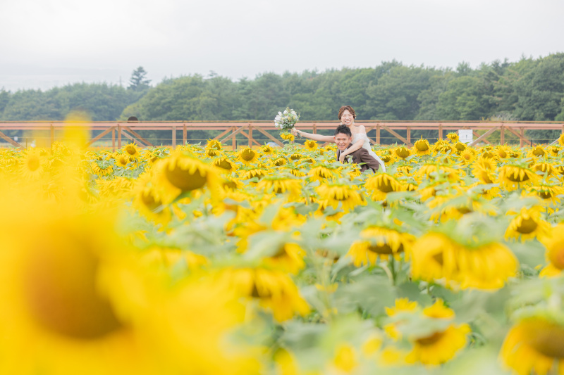 夏の撮影!お花畑や緑で撮影