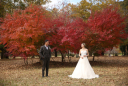 秋の紅葉と。ウェディングフォト