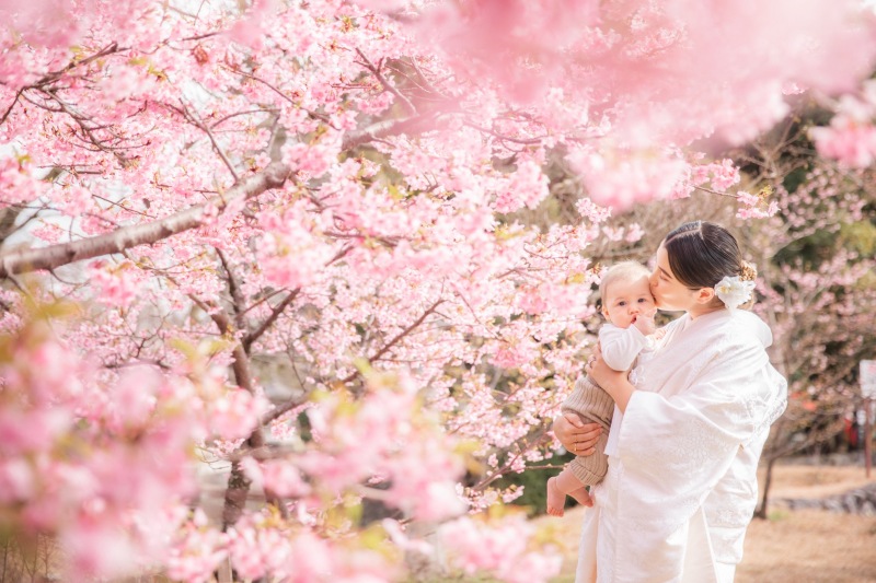 富士宮も早咲きの桜が開花しております
