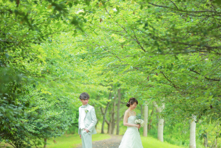 新緑のおすすめロケーション