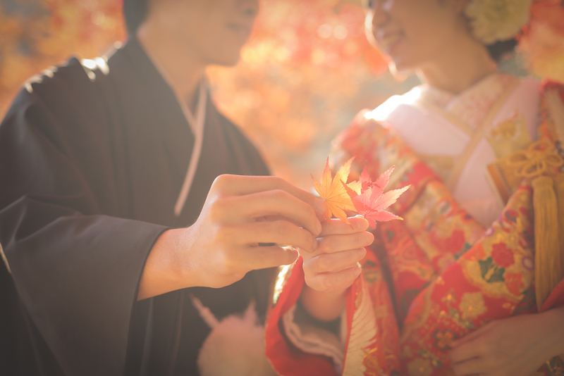 真っ赤に染まる美しい森や高原での紅葉の中での和装撮影
