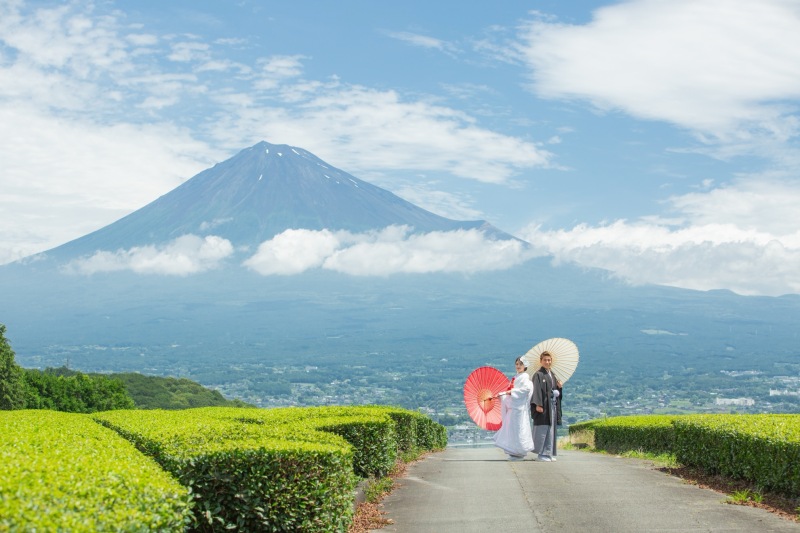 お茶畑と富士山