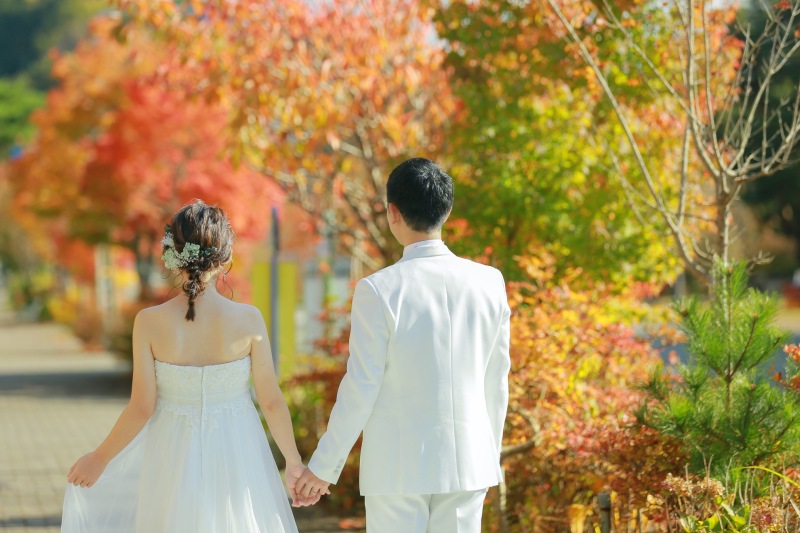 秋の紅葉始まりました!