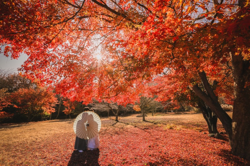富士山ロケーション秋の紅葉シーズン