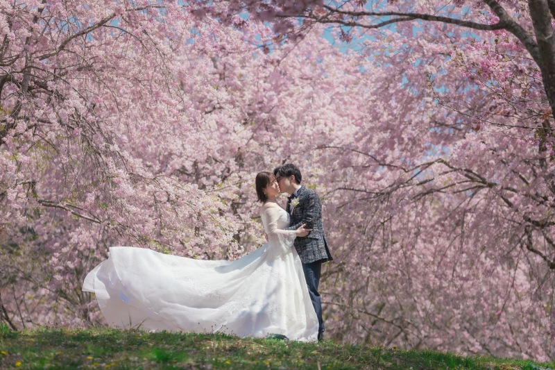 4月の桜+富士山ロケーションフォト