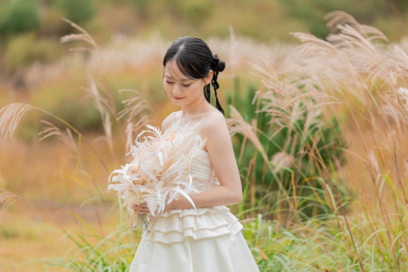 紅葉シーズン始まりました