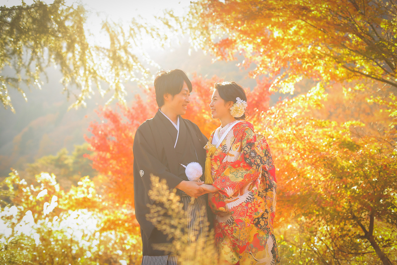 真っ赤に染まる美しい森や高原での紅葉の中での和装撮影