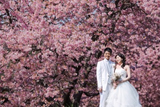 河津桜プランご予約開始致しました