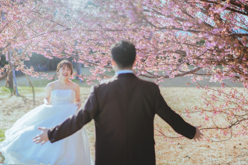 まもなく開花、2月~3月上旬の河津桜ロケーションフォト