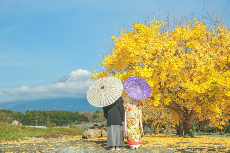 和装富士山周遊ロケーション