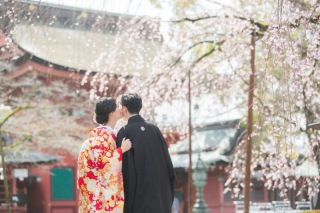 2025年春の桜シーズン　富士店の桜の撮影できる期間を提示してあります！