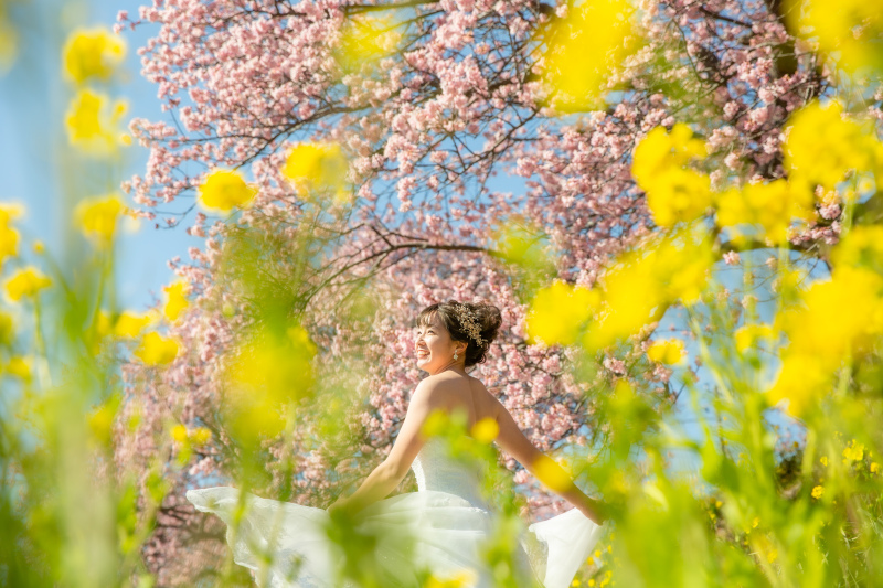 秋の次は！桜のシーズンです！！！＾＾/先行ご予約受付中！