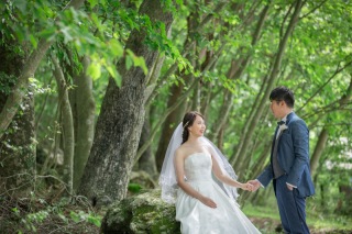 夏、涼しくて神秘的な森でのウェディングフォト