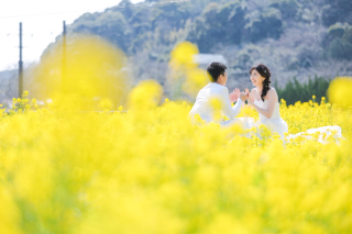 2月から撮影可能な早咲きの河津桜＋菜の花ロケーション