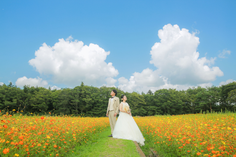 ひまわり畑やお花畑&湖畔でのロケーションフォト