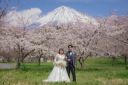 4月の桜+富士山ロケーションフォト