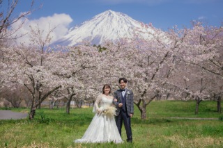 4月の桜+富士山ロケーションフォト