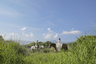美しい広大なロケーションでの乗馬結婚写真