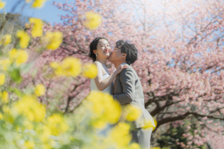 まもなくシーズン到来!河津桜ロケーション