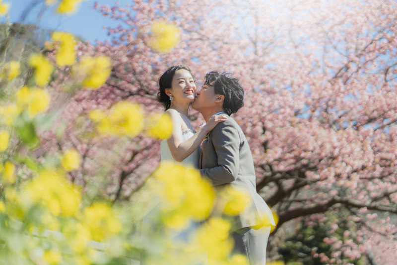 まもなくシーズン到来！河津桜ロケーション