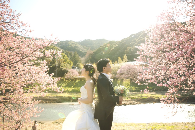 河津桜プランで人気の和装もウェディングドレスでも撮影できるプラン