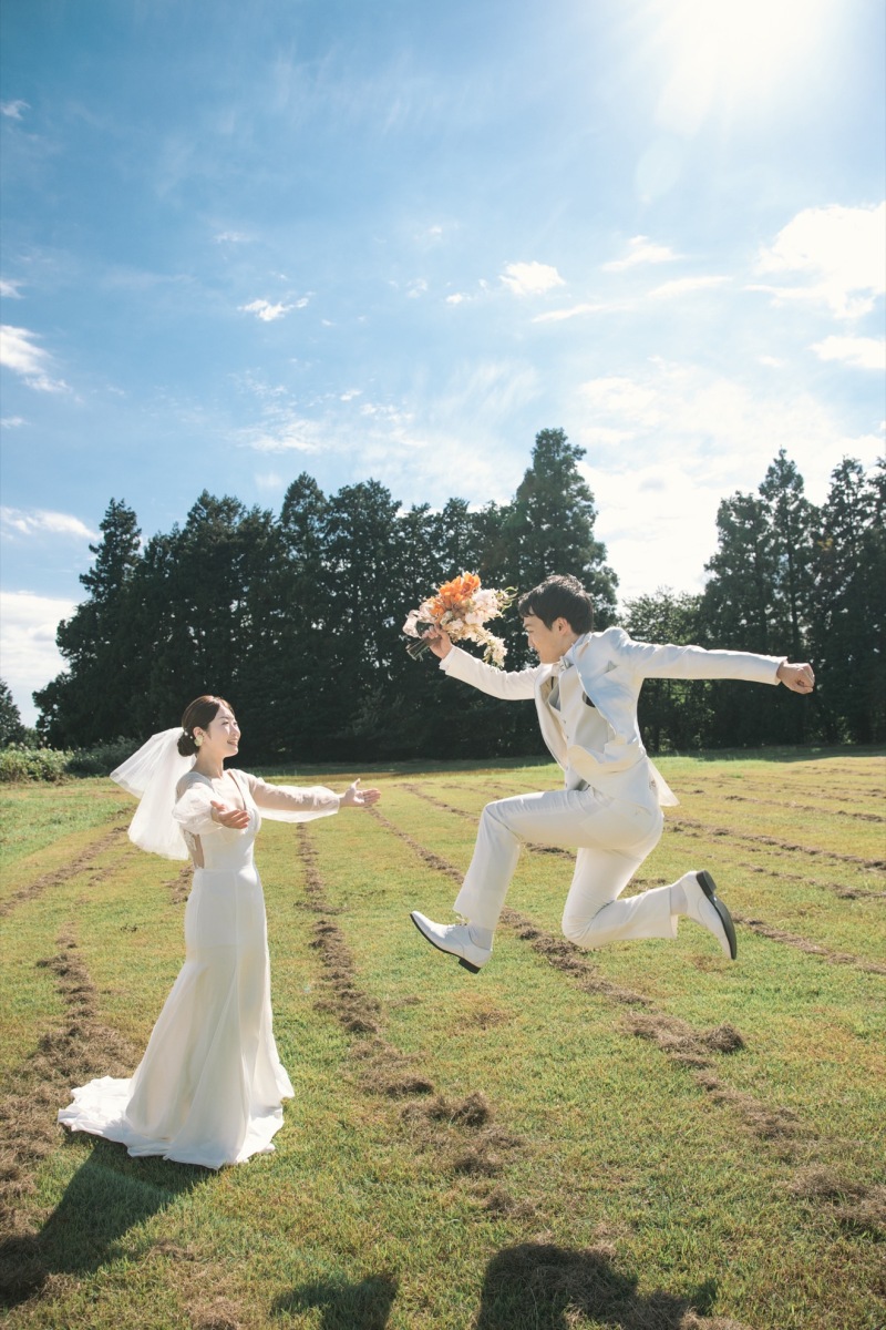 韓国風芝生フォトも