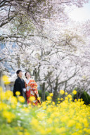 遅ればせながら・・・