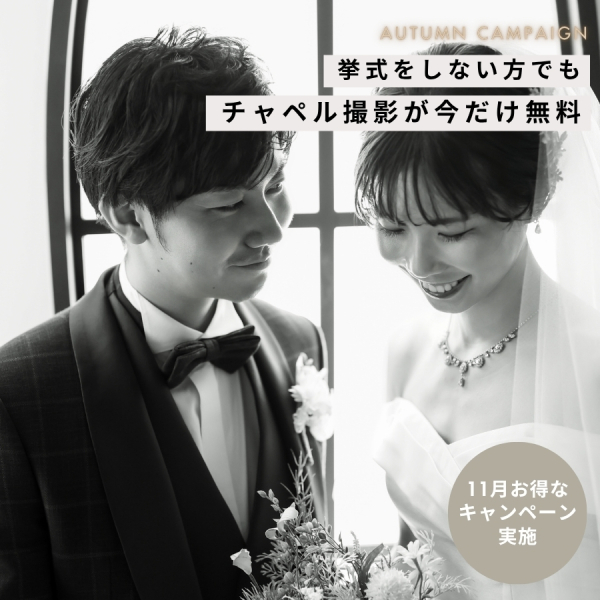 ★11月のキャンペーン情報★