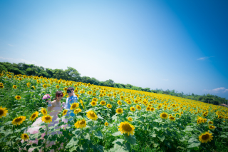 夏の前撮り　オススメロケーション
