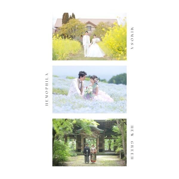 お得な春撮影の早割キャンペーン