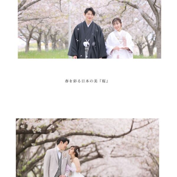 お得な春撮影の早割キャンペーン