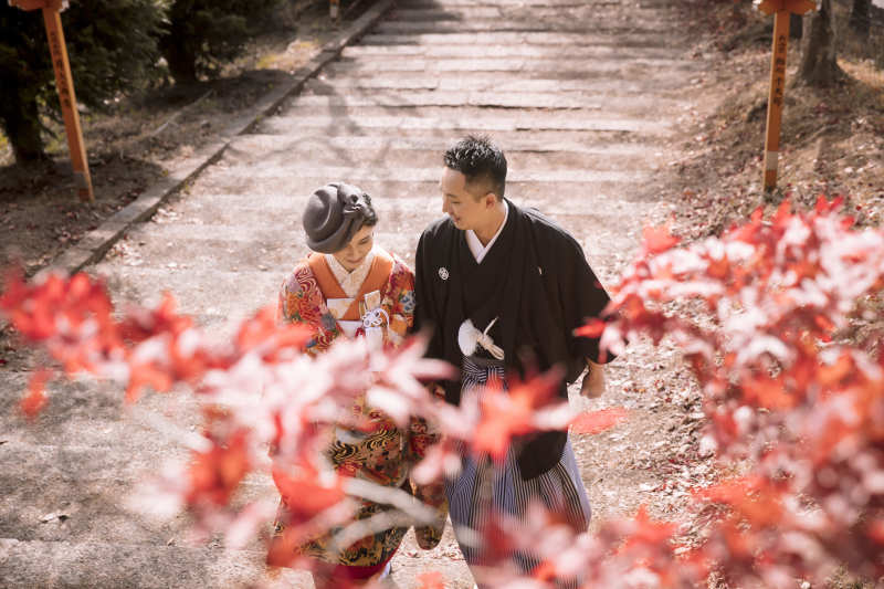 紅葉・銀杏シーズン・２０１９年１０月〜１２月空き状況のご案内