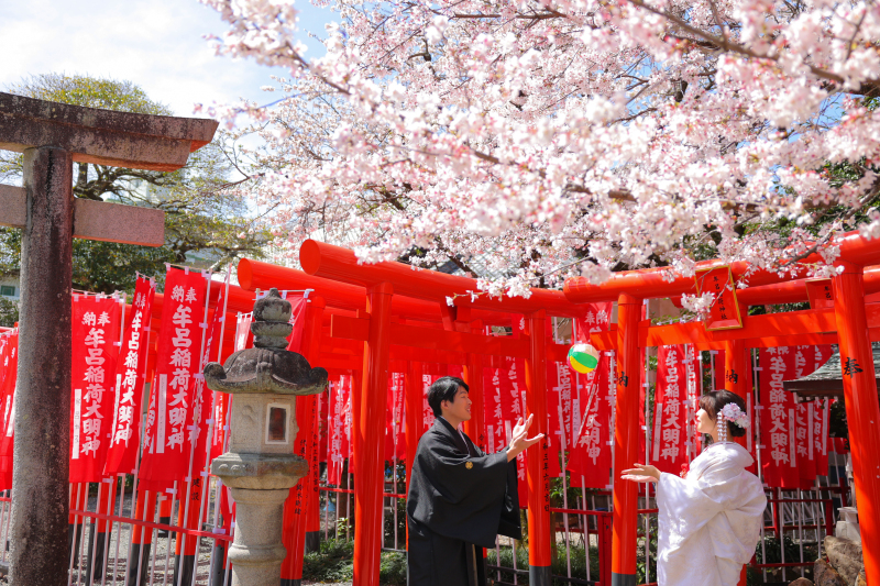 春の桜ロケーション