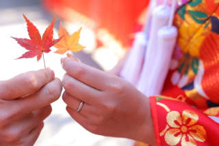 -季節限定- 紅葉ロケーション紹介*゜