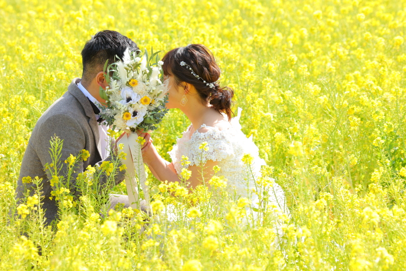 春を感じる菜の花ロケーション