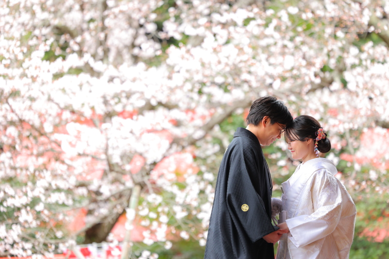 牟呂八幡宮でロケーション撮影
