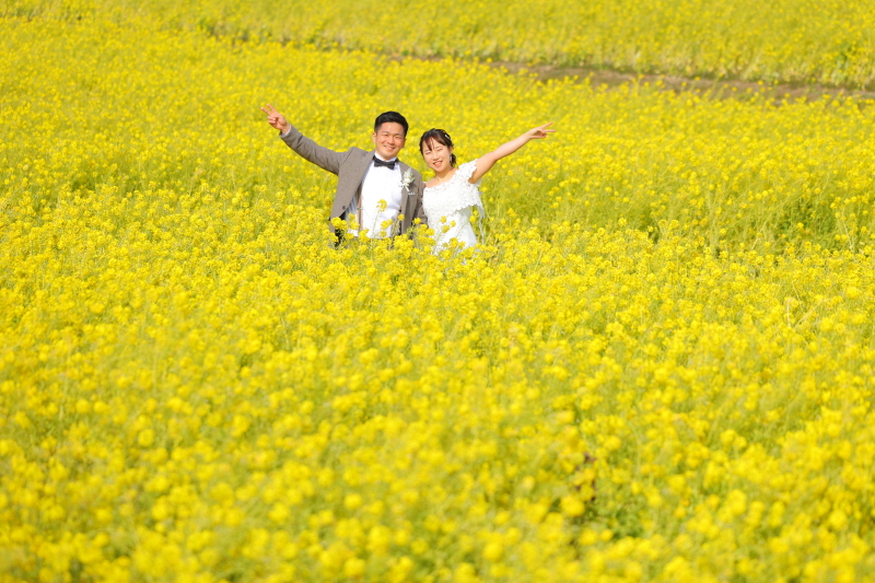 春を感じる菜の花ロケーション