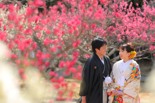 梅の花ロケーション