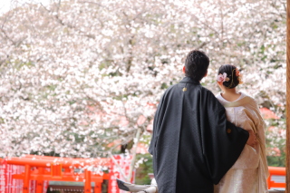 撮れたてショット紹介♪ 桜編✿