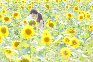 ひまわりロケーション紹介❁