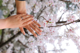 温かみのある手元カットのご紹介♪　