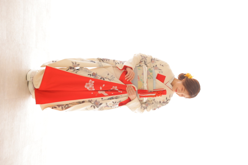 引き振袖のご紹介です