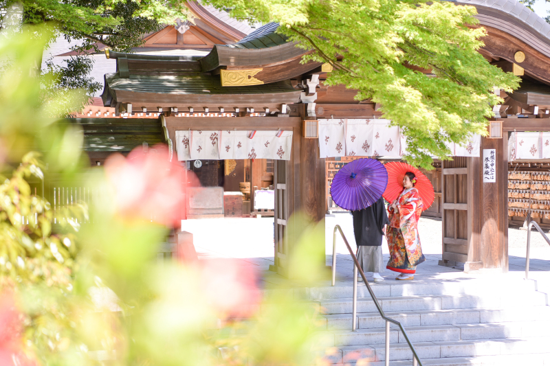 日高の名所「高麗神社」での新緑ロケーションプランを期間限定で割引!