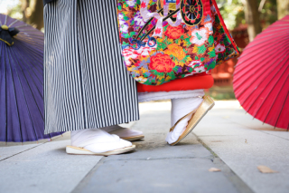 日程限定でプラン料金から5%OFFの割引!