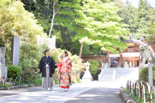 日高の名所「高麗神社」での新緑ロケーションプランを期間限定で割引!
