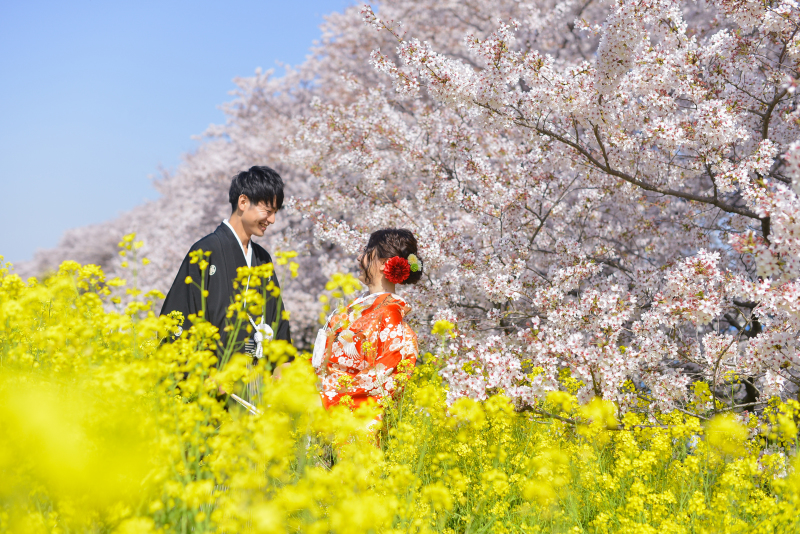 桜フォト予約受付開始♪